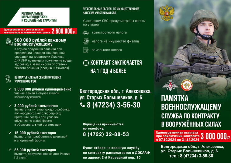 Время встать на защиту Родины. Время встать на защиту Родины.