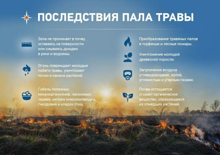 Чем грозят весенние палы травы?. Чем грозят весенние палы травы?.